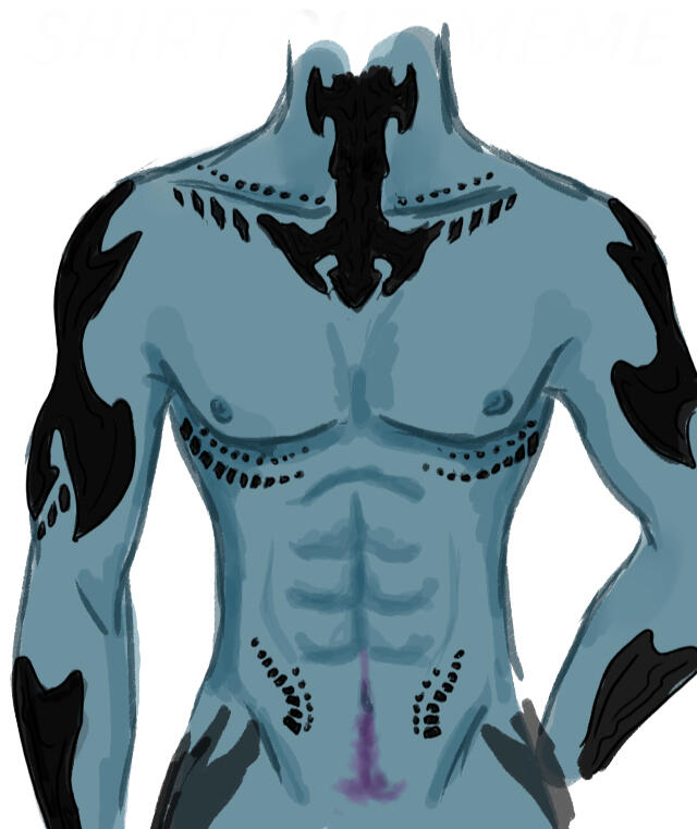 My OC - Medekh - Part of the Torso Shirt Meme thing.